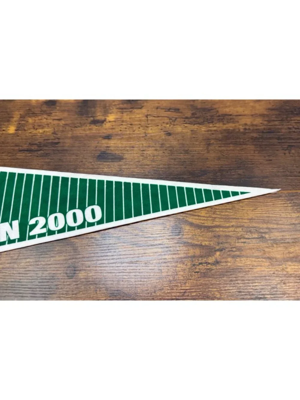 Long Island Ducks Inaugural Season 2000 Vintage Felt Pennant 26.5 inches